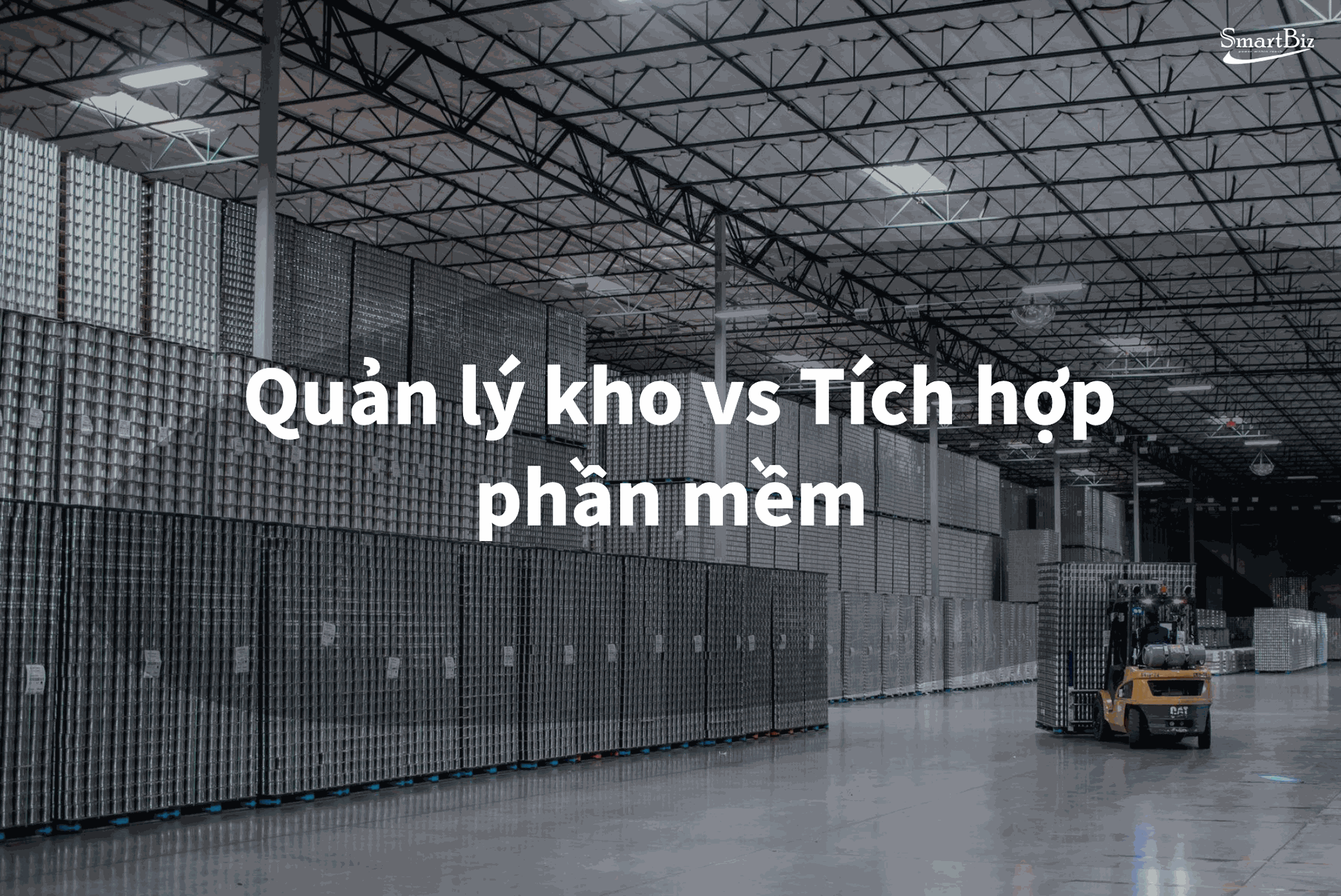 tich-hop-phan-mem-quan-ly-kho